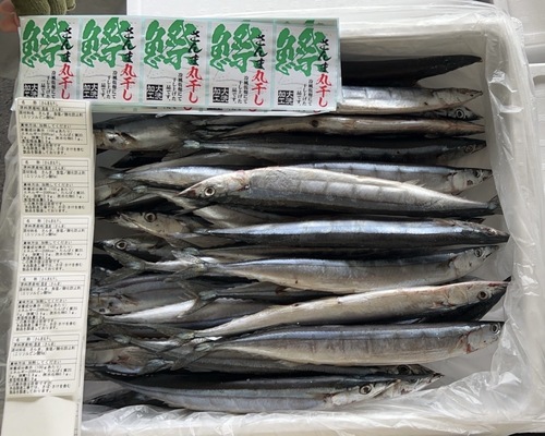 サンマ約4kg