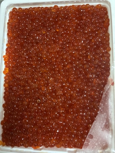イクラ20入約10kg