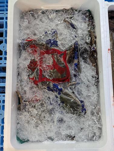 ワタリガニ9入約4kg(定置)