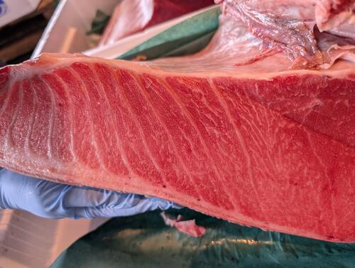 本マグロブロック(巻網)