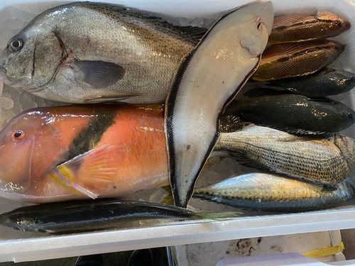 鮮魚BOX10入約4.4kg(定置)