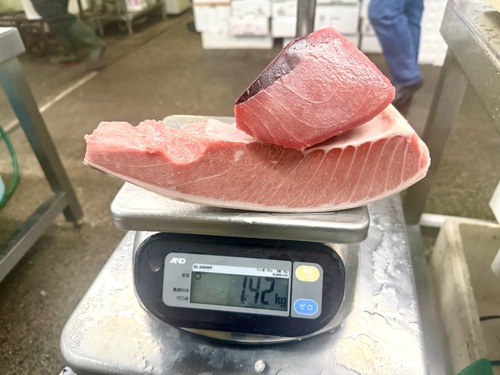 神経〆ミナミマグロ(延縄)