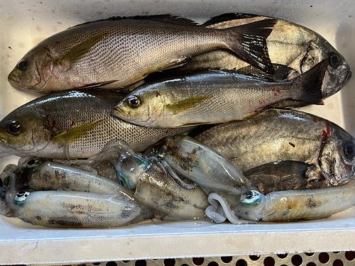 鮮魚BOX約4.2kg(定置)