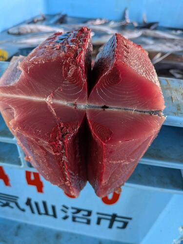 カツオ5〜6k 新物3入約5.8kg(釣)