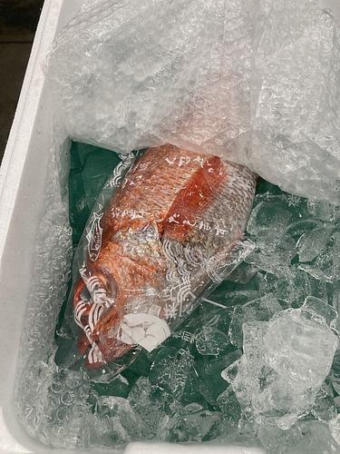 赤ムツ1入約1.15kg(釣)