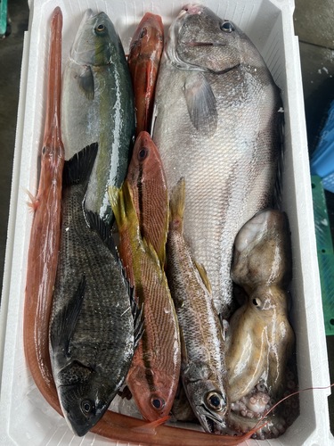 鮮魚BOX約5.5kg(定置)