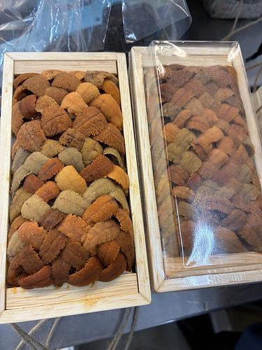 バフンウニ（板）