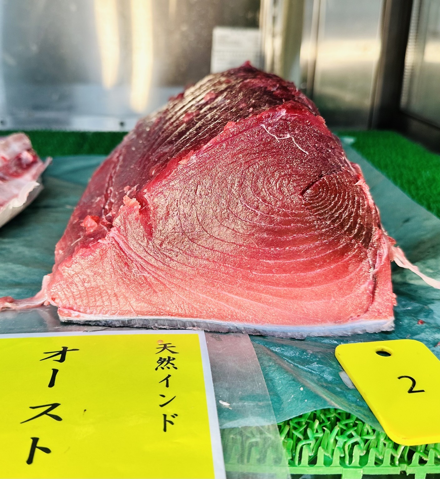 ミナミマグロ(延縄)【業務用の鮮魚仕入れならウーオ】