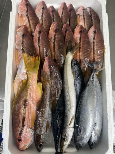 鮮魚BOX約6.4kg(定置)