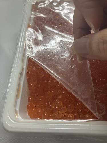イクラ500g20入約10kg