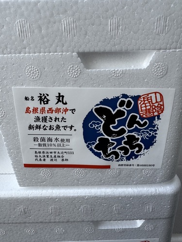 アジ(どんちっち)１８０g前後サイズ約5kg(巻網)