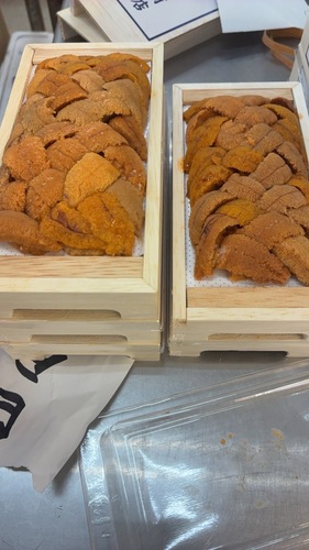 バフンウニ（板）30入約3kg