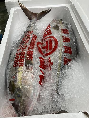 カンパチ2入約5.5kg