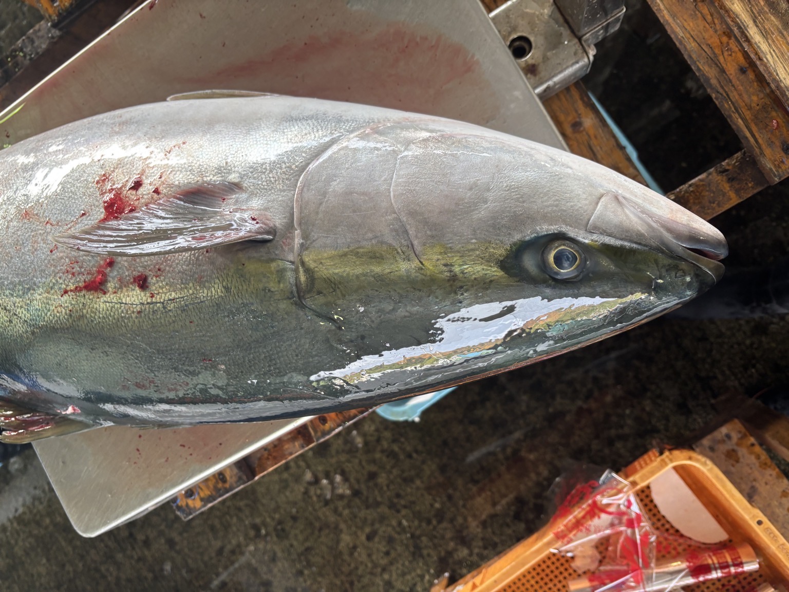 活〆ブリ6-7k台1入約6kg(定置)【業務用の鮮魚仕入れならウーオ】