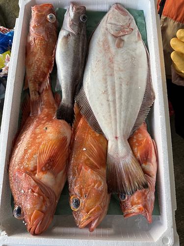 鮮魚BOX約4.1kg(底曳)