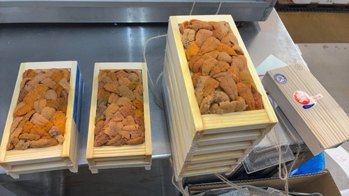 バフンウニ（板）30入約3kg