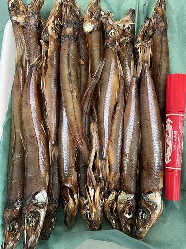 ニギス約120入約7.5kg(底曳)