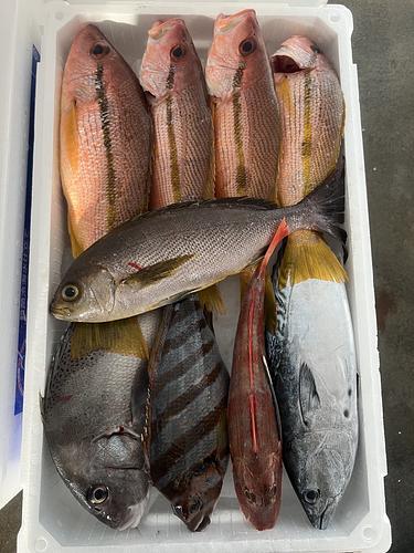 鮮魚BOX約5.1kg(定置)