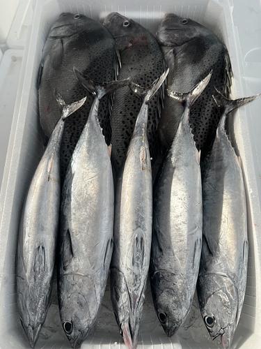 鮮魚BOX約6.1kg(定置)