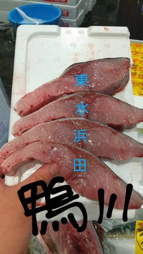 ワラサ13-14k位4入約13.5kg(巻網)