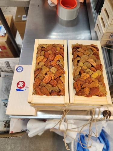 バフンウニ（板）30入約3kg