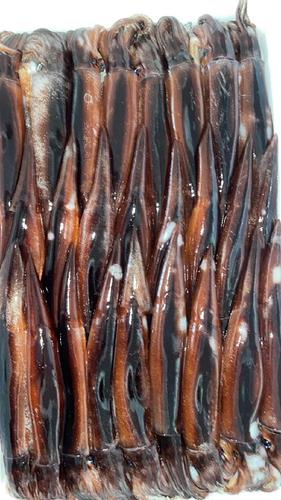 スルメイカ20入約5kg(釣)