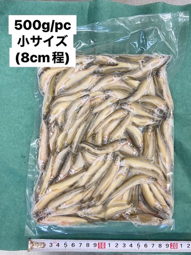 ホンモロコ