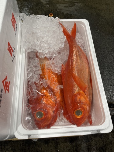 キンメダイ4入約5.5kg(釣)