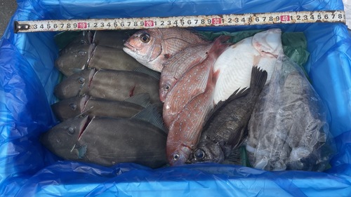 鮮魚BOX A約4.5kg(定置)