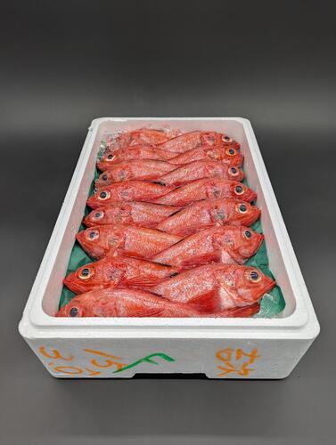 キチジ15入約3kg(底曳)