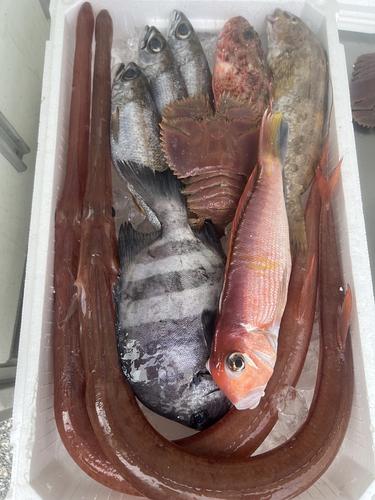 鮮魚BOX約3.8kg(底曳)