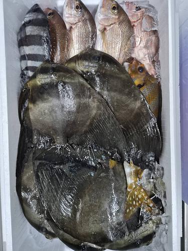 鮮魚BOX約4.5kg(定置)