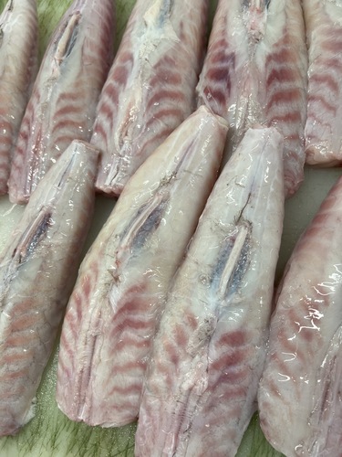 活〆ゴマフグ19入約11.3kg(定置)