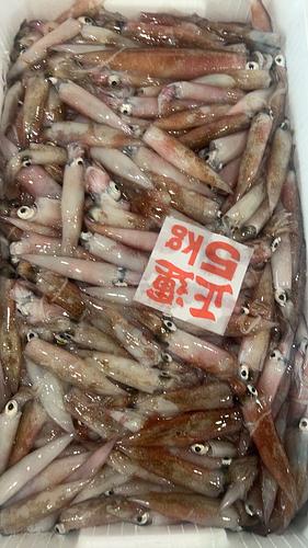 ヤリイカバラ色付⭕️約5kg(底曳)