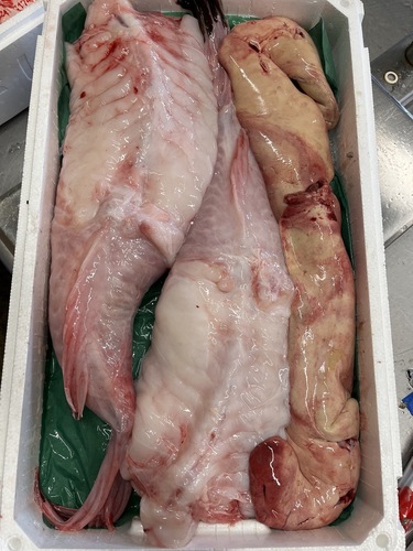 アンコウ（ムキ身）約6.6kg(底曳)