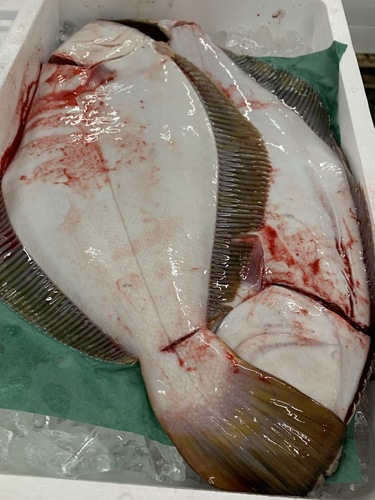 活〆平目2入/3-4k約3.5kg