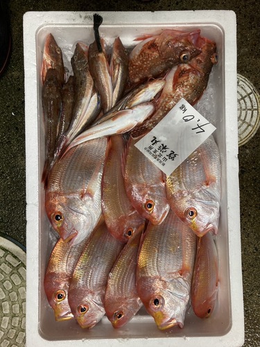 鮮魚BOX約4kg