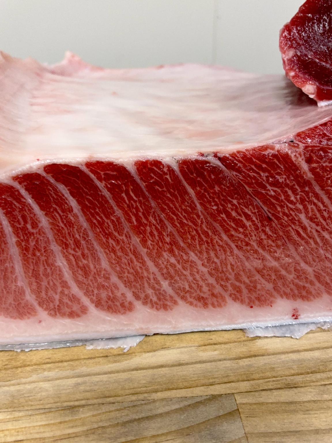 本マグロ(定置)【業務用の鮮魚仕入れならウーオ】