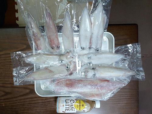 ケンサキイカ(冷凍)(釣)