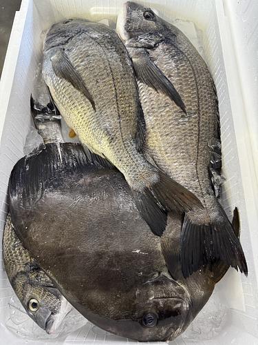 鮮魚BOX約5.3kg(定置)