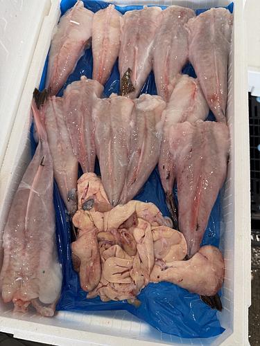 アンコウ（ムキ身）約3.4kg(底曳)