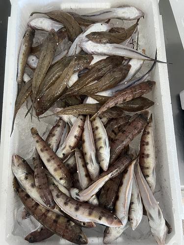 鮮魚BOX約3.6kg(底曳)