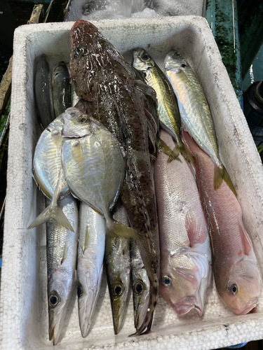 鮮魚BOX約3.2kg(沿岸)