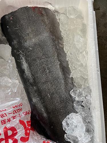バショウカジキ下1入約5.7kg(定置)