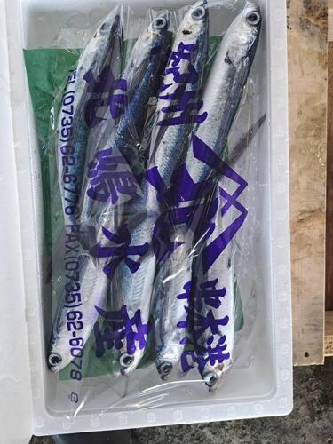 トビウオ8入約2kg(定置)