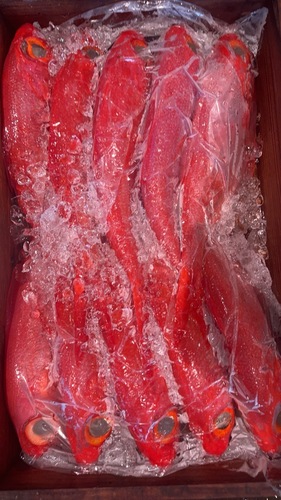 キンメダイ1kg上約10kg(釣)