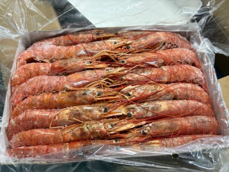 アカエビ2kgx6約12kg【業務用の鮮魚仕入れならウーオ】