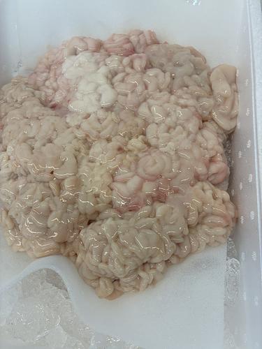 タラ白子約3kg