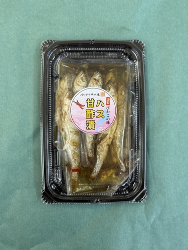 ハス10尾/pc12入約1.2kg(沿岸)