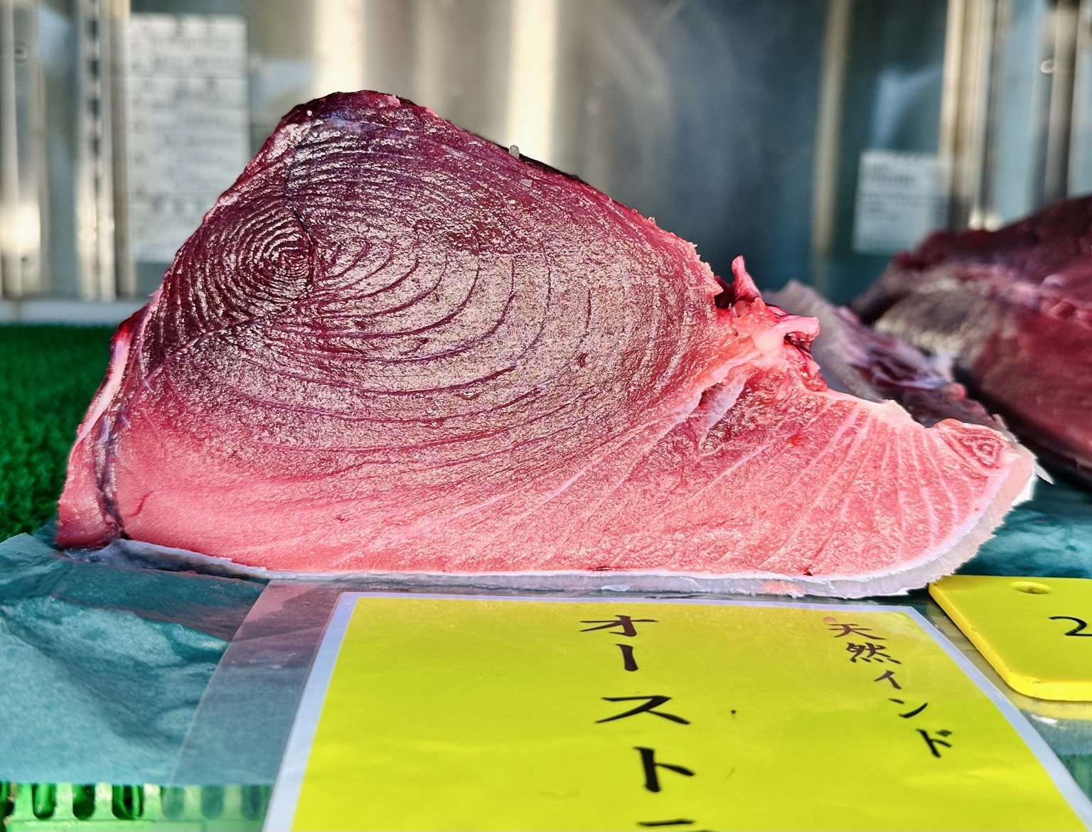 ミナミマグロ(延縄)【業務用の鮮魚仕入れならウーオ】